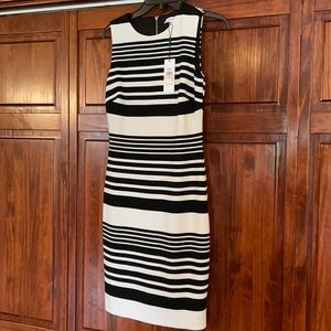 NWT Calvin Klein Dress